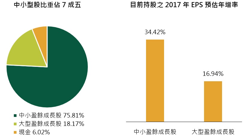 第一金中國世紀基金投資配置